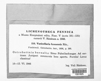 Image Associated With the Occurence